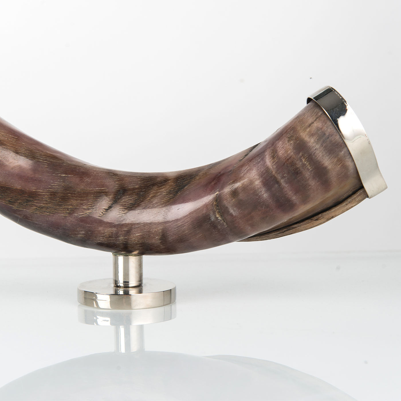 Zebu Horn Decorative Sculpture - Alternative view 2
