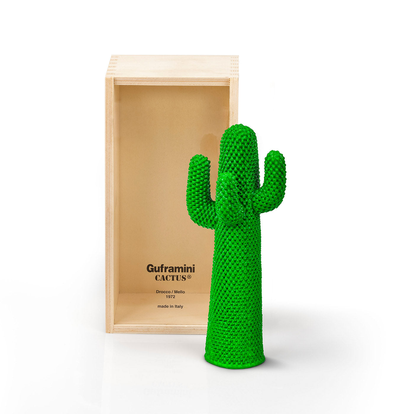 Cactus Guframini - Vista alternativa 2