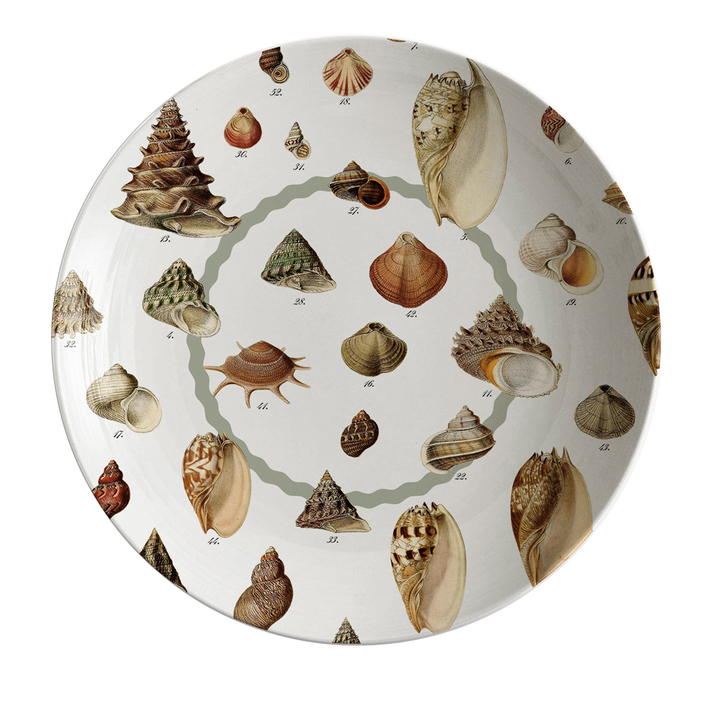 Cabinet De Curiosités Piatto fondo in porcellana con conchiglie - Vista principale
