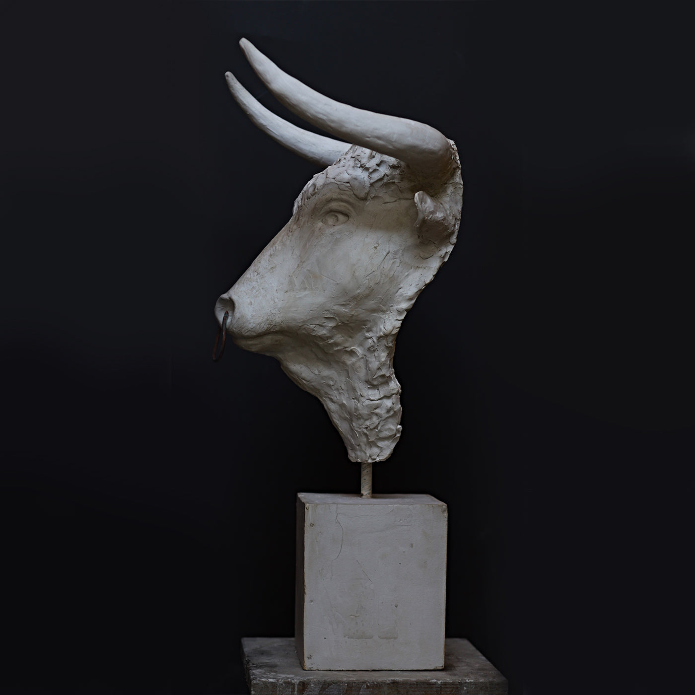 Toro Sculpture - Alternative view 3
