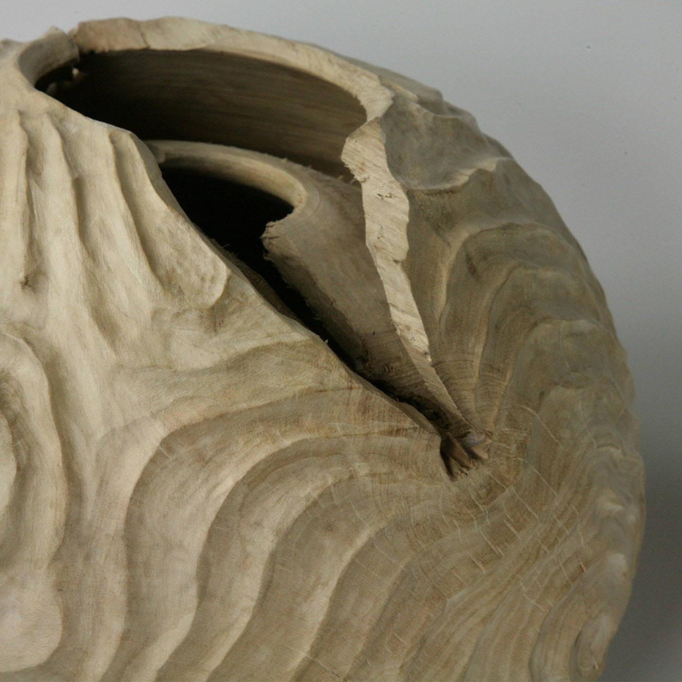 Double Edge Hollow Form Spherical Hornbeam Sculpture - Alternative view 1