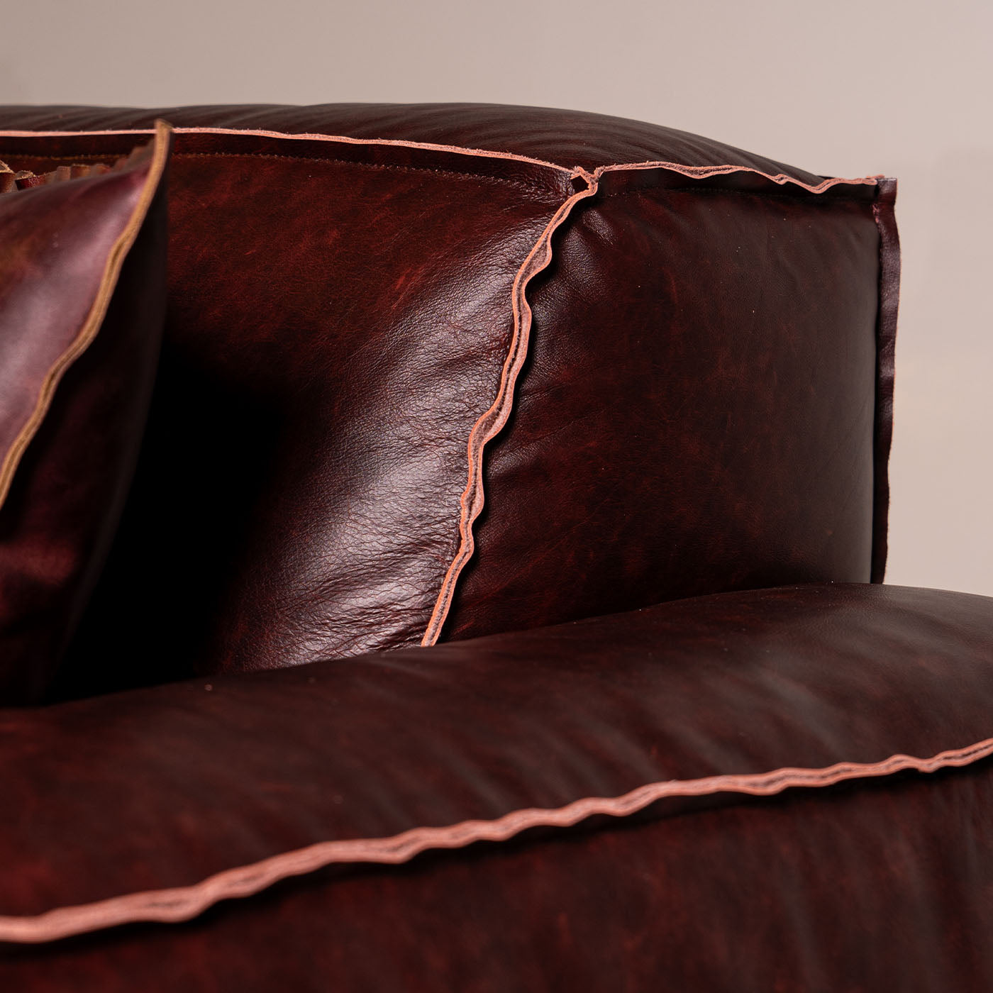 Dodo Mahogany Leather Sofa - Alternative view 2