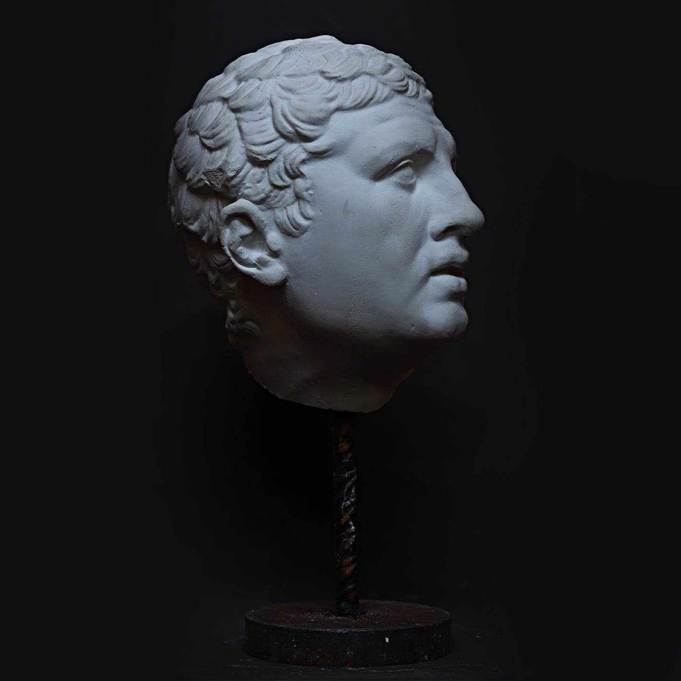 Gladiatore Borghese Bust on Pedestal - Alternative view 1