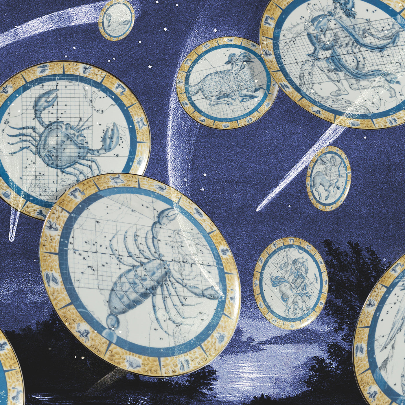 Zodiacus Aquarius dekorativer Porzellanteller - Alternative Ansicht 1