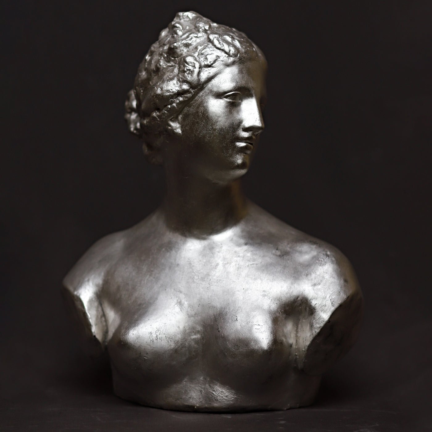 Venere de' Medici Silvery-Plaster Sculpture - Alternative view 2