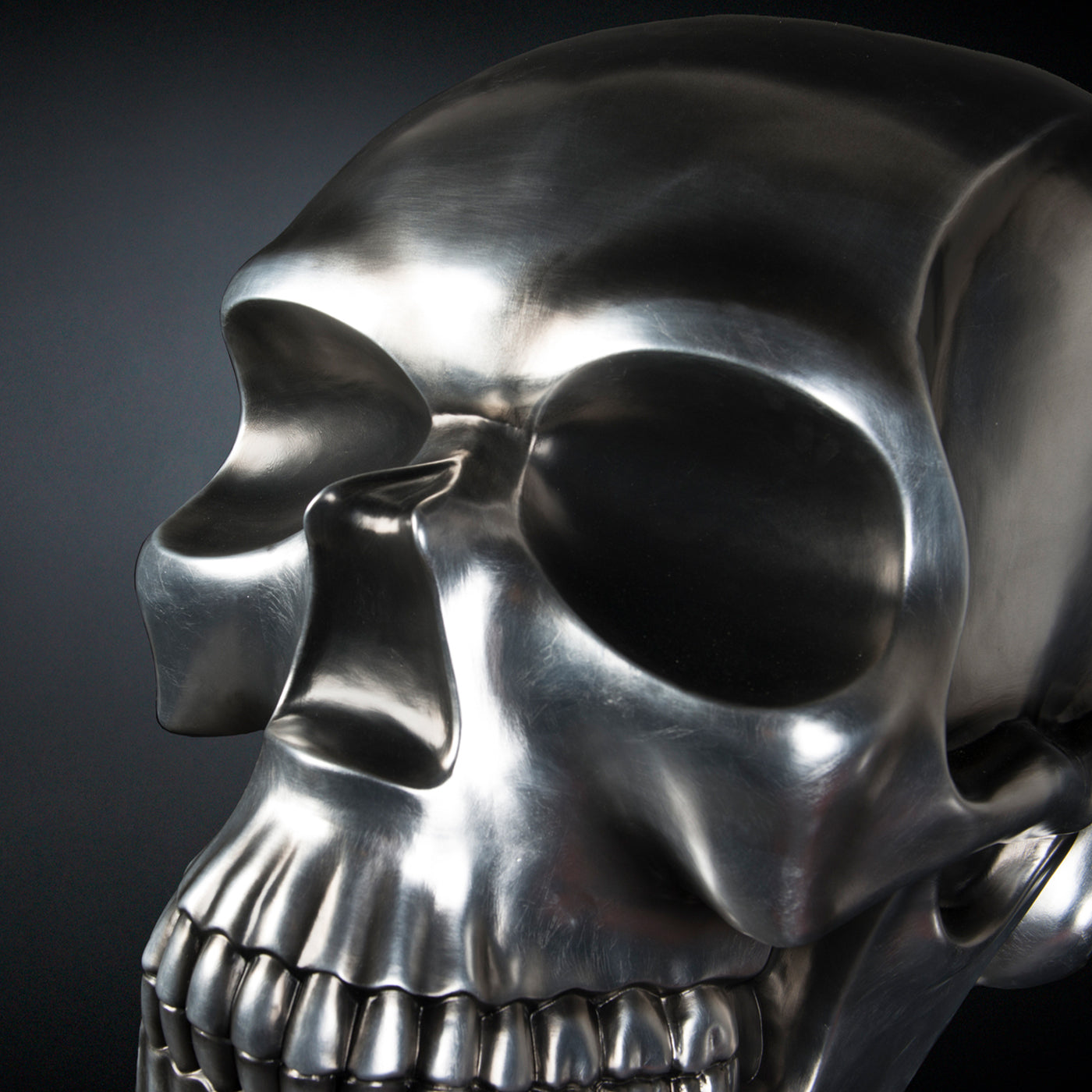 Black and Silver Skull Sculpture - Alternative view 4