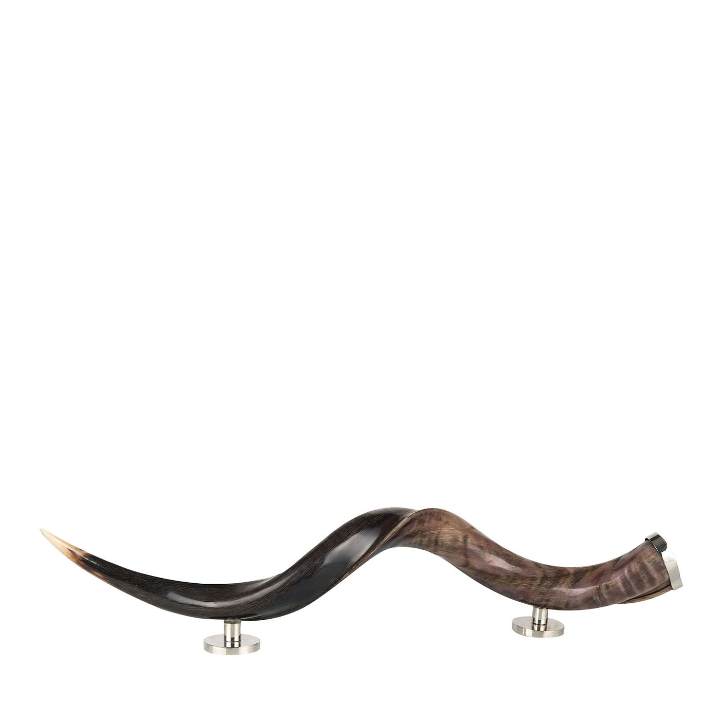 Zebu Horn Decorative Sculpture - Main view