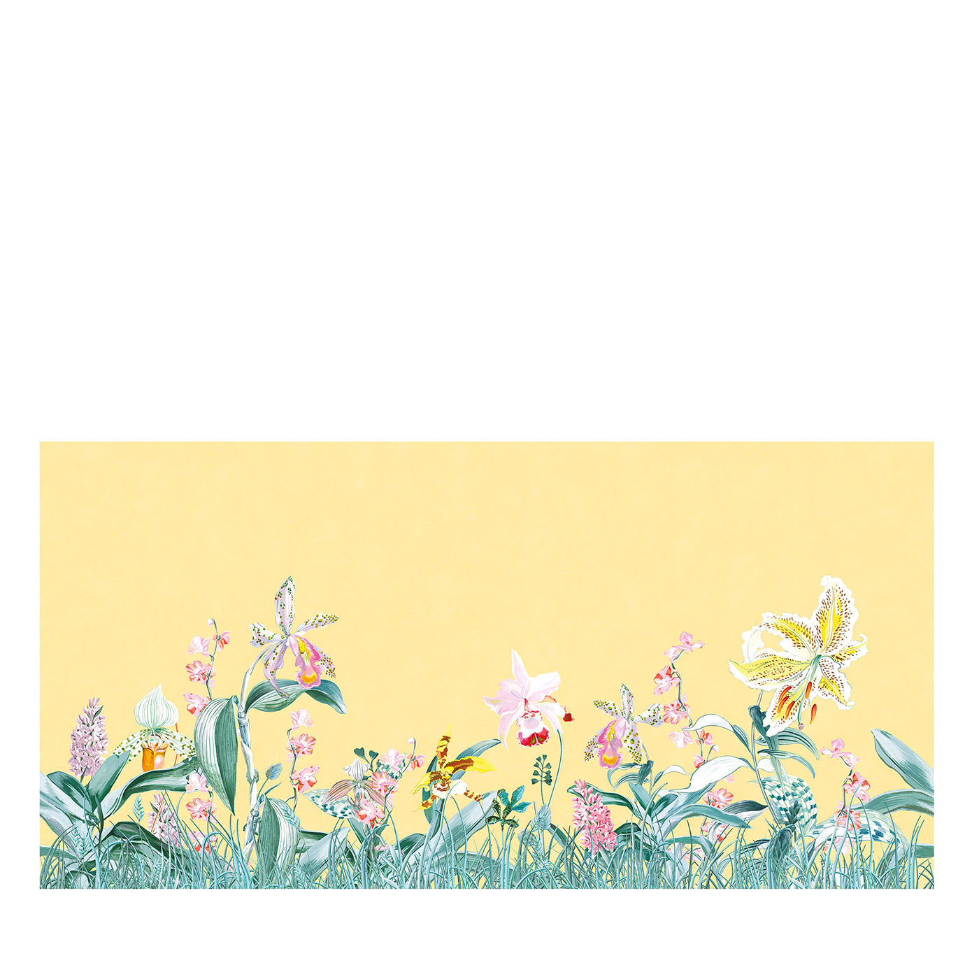 Papier peint panoramique Orchidée jaune Collection Camere - Vue principale
