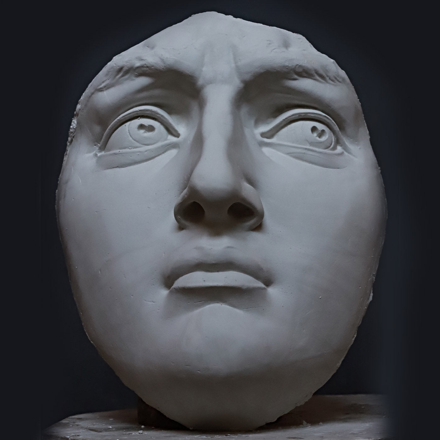 Michelangelo's David's Plaster Head - Alternative view 2