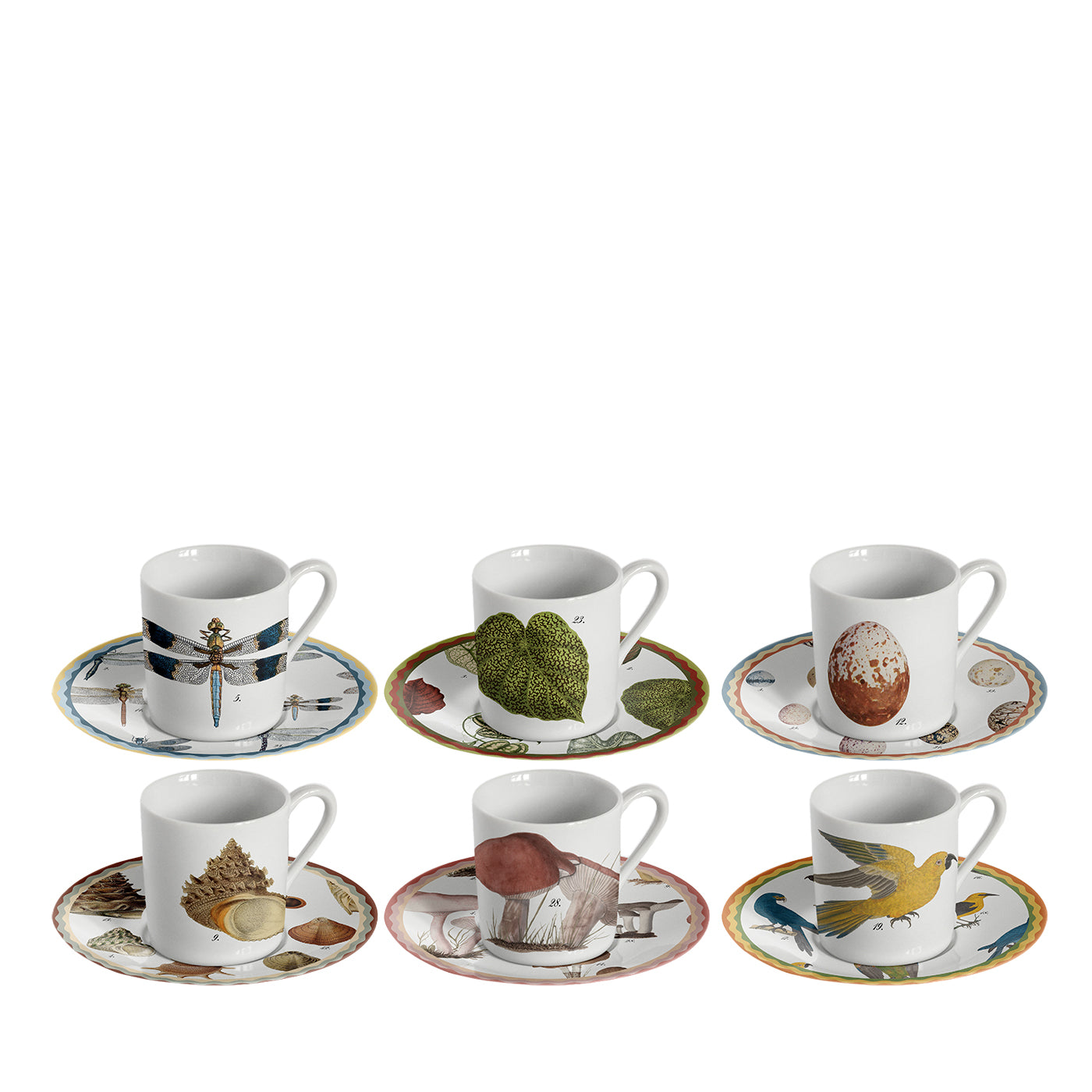 Cabinet De Curiosités Set di 6 tazze da espresso in porcellana - Vista principale