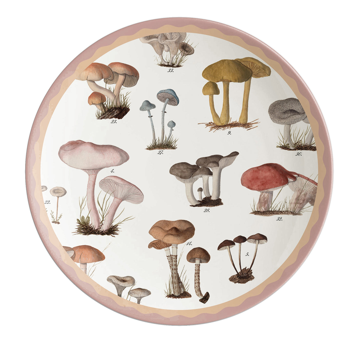 Cabinet De Curiosités Set di 2 piatti da dessert in porcellana con funghi - Vista principale
