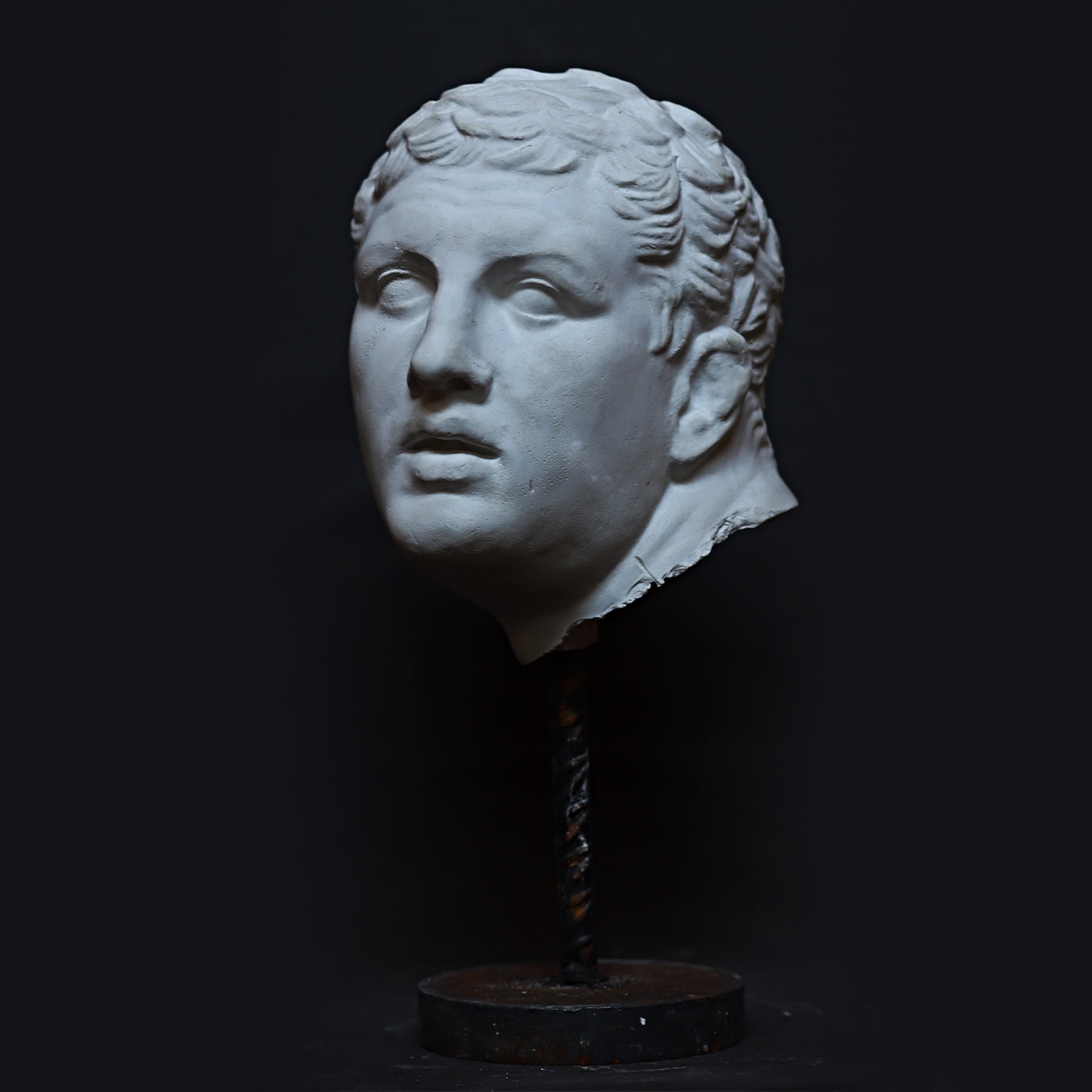 Gladiatore Borghese Bust on Pedestal - Alternative view 3