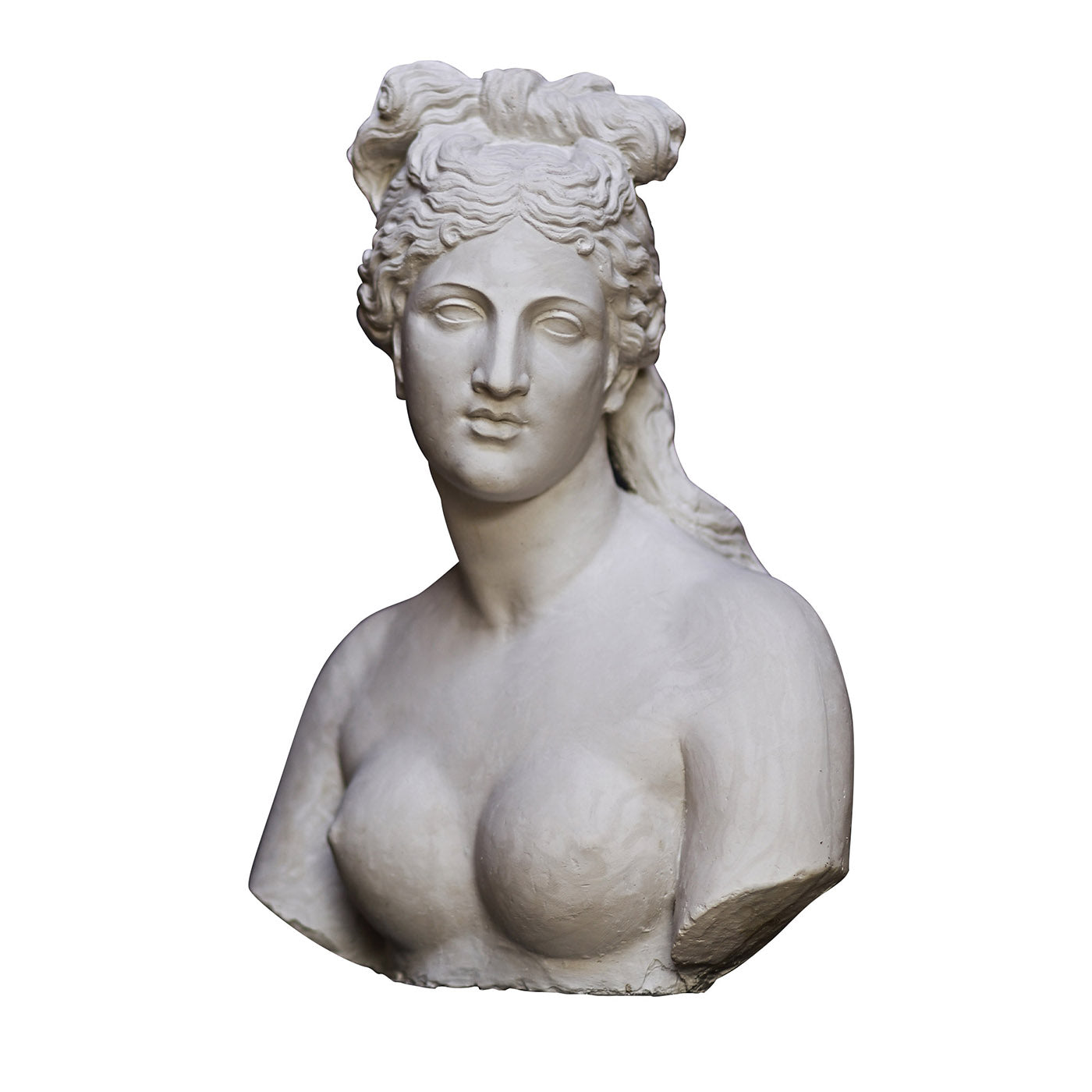 Busto Venere Capitolina - Vista principal