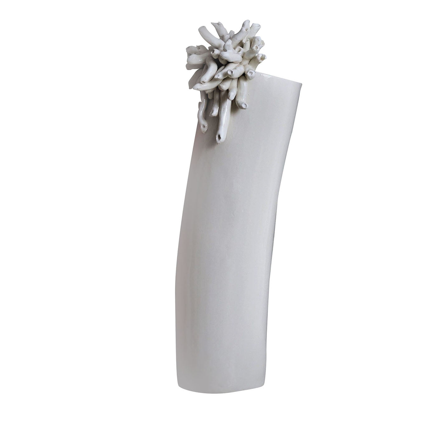 Vase Anemoni blanc brillant - Vue principale