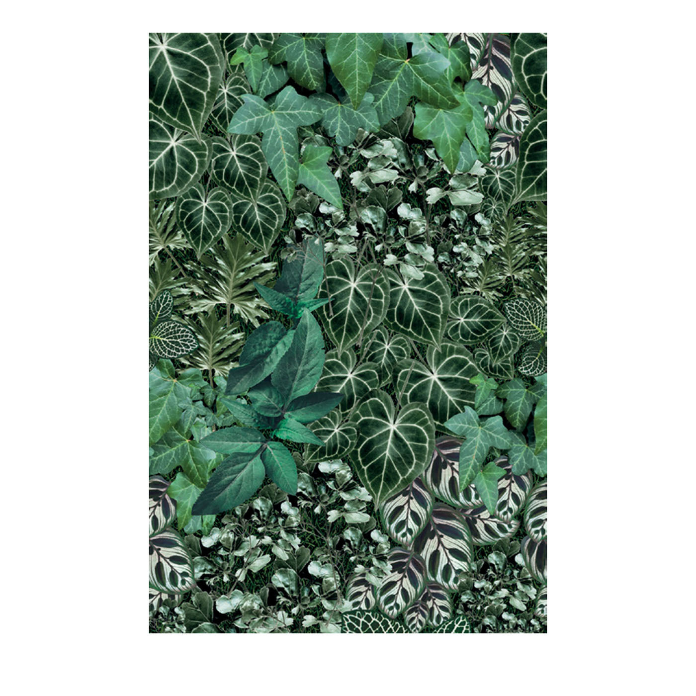 Into the Green Facade 22 Outdoor Wallpaper - Main view