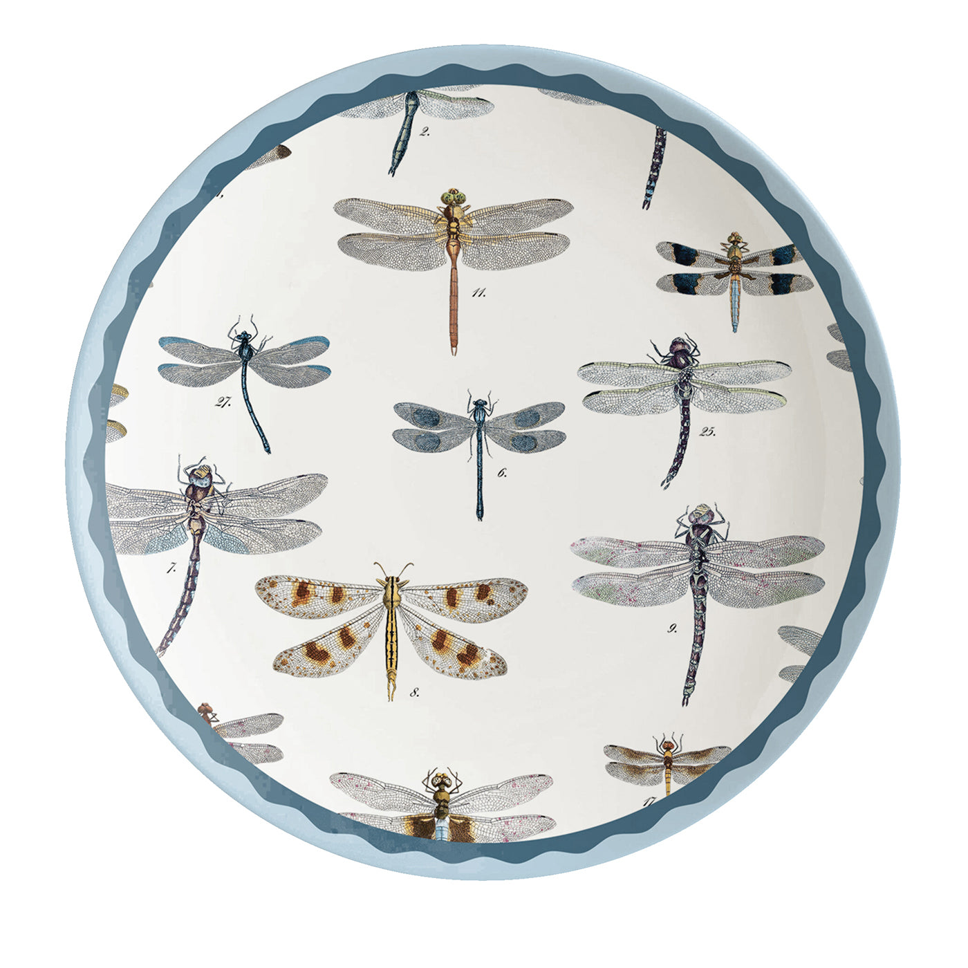 Cabinet De Curiosités Set Of 2 Porcelain Dessert Plates With Dragonflies - Vue principale