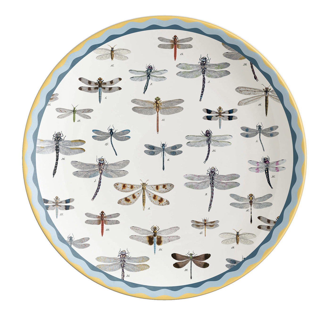 Cabinet De Curiosités Porzellan Charger Teller mit Libellen - Hauptansicht