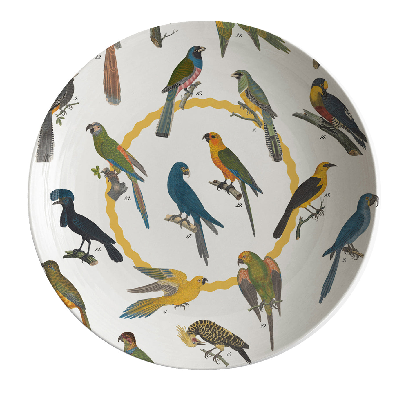 Plato hondo de porcelana con pájaros Cabinet De Curiosités - Vista principal