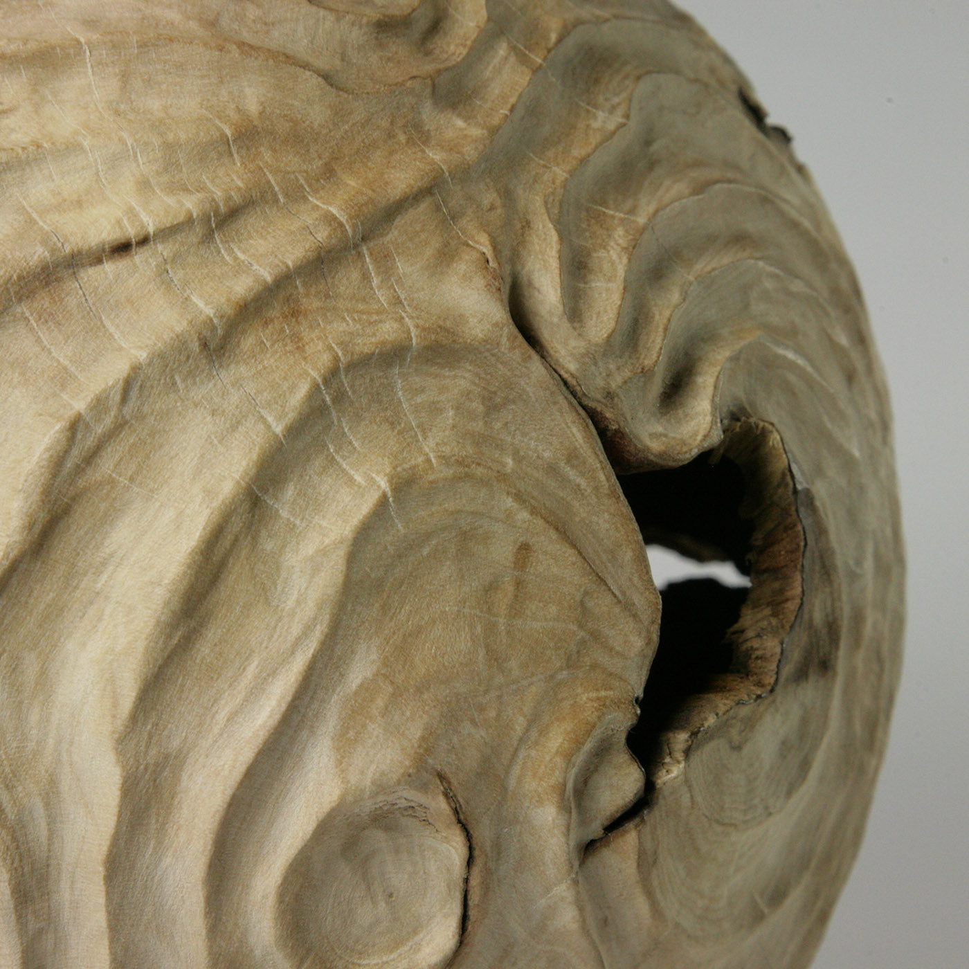 Double Edge Hollow Form Spherical Hornbeam Sculpture - Alternative view 5