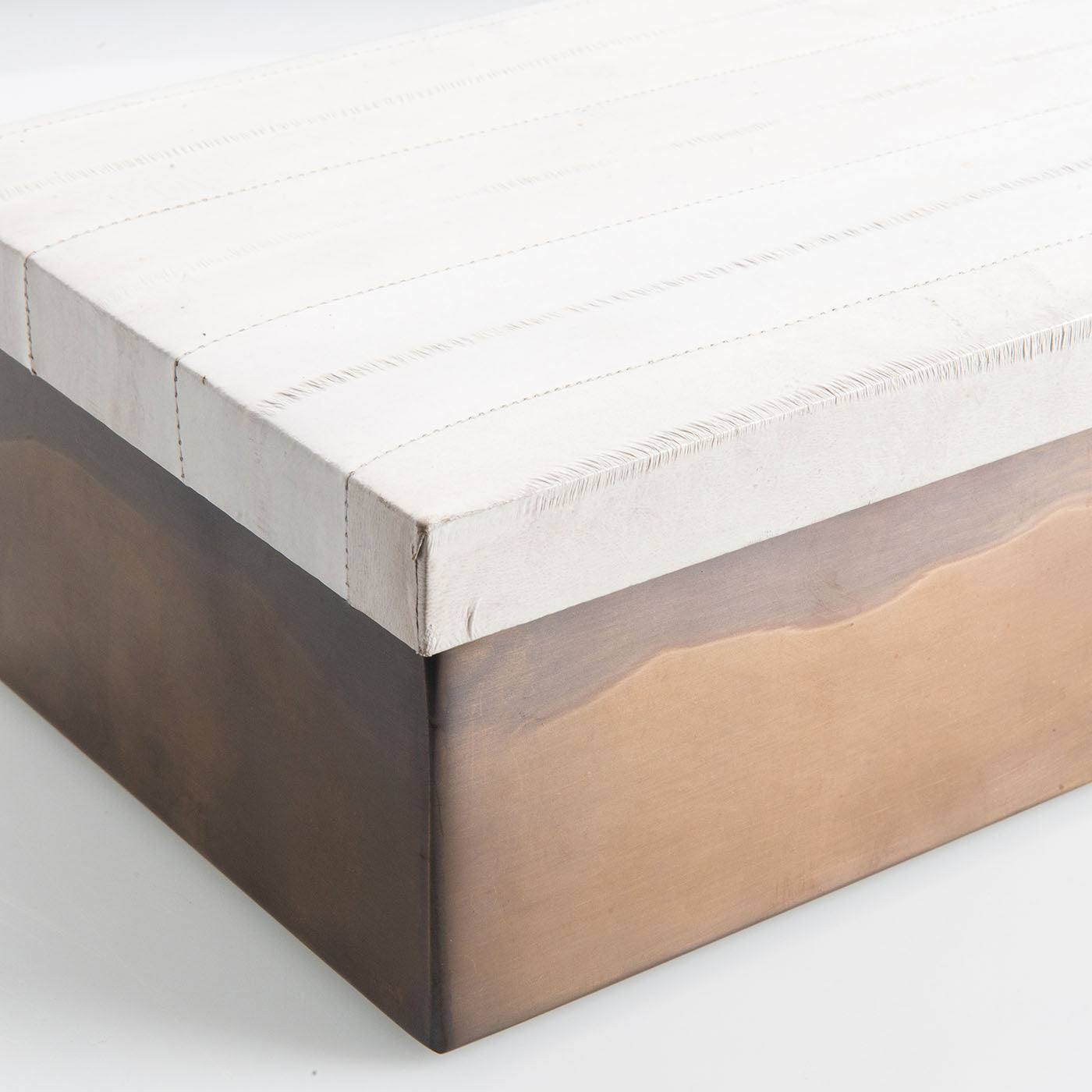 Caja de piel de anguila y latón bruñido con tapa - Vista alternativa 3