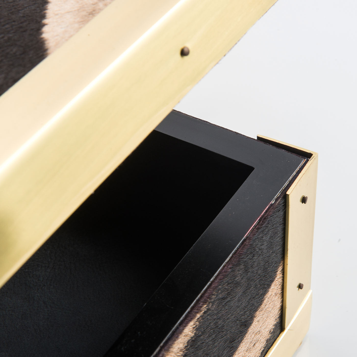 Memories Zebra Skin And Brass Box - Alternative view 2