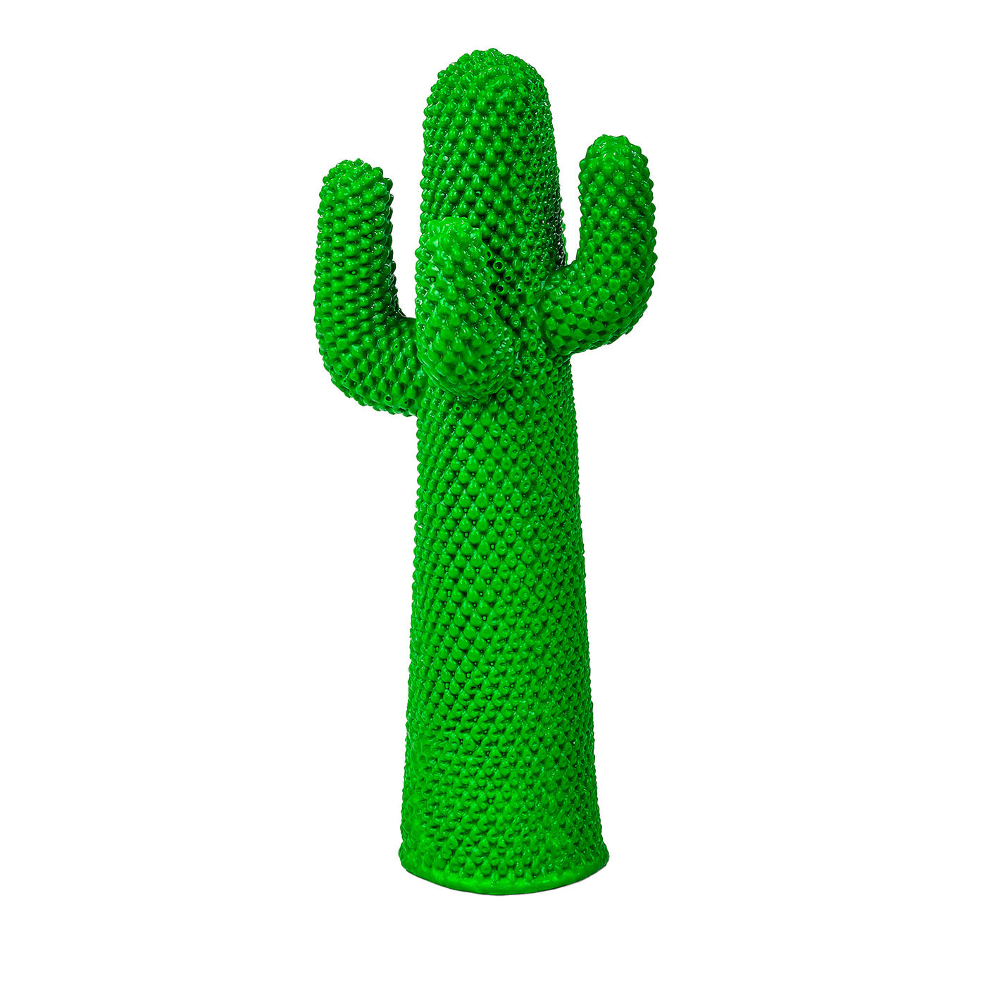Cactus Guframini - Vista principal