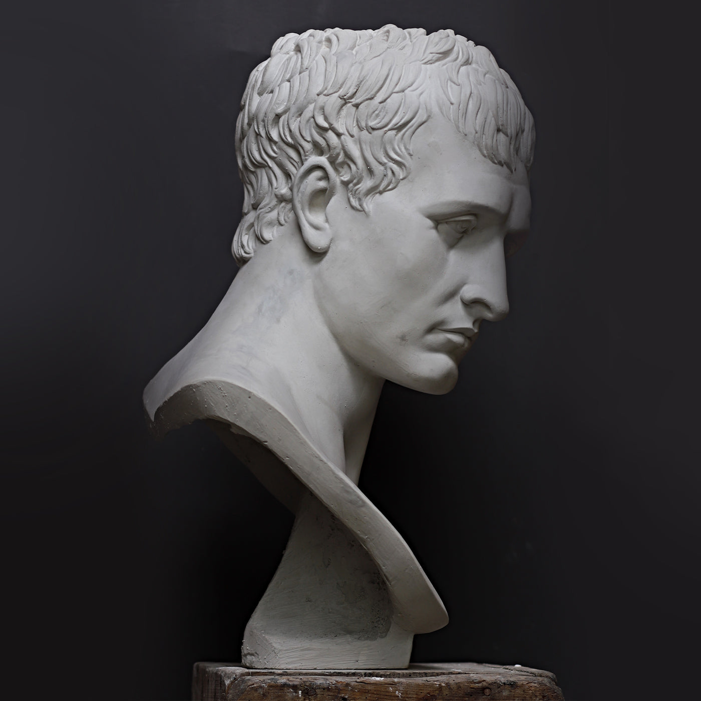 Napoleone Bust - Alternative view 2