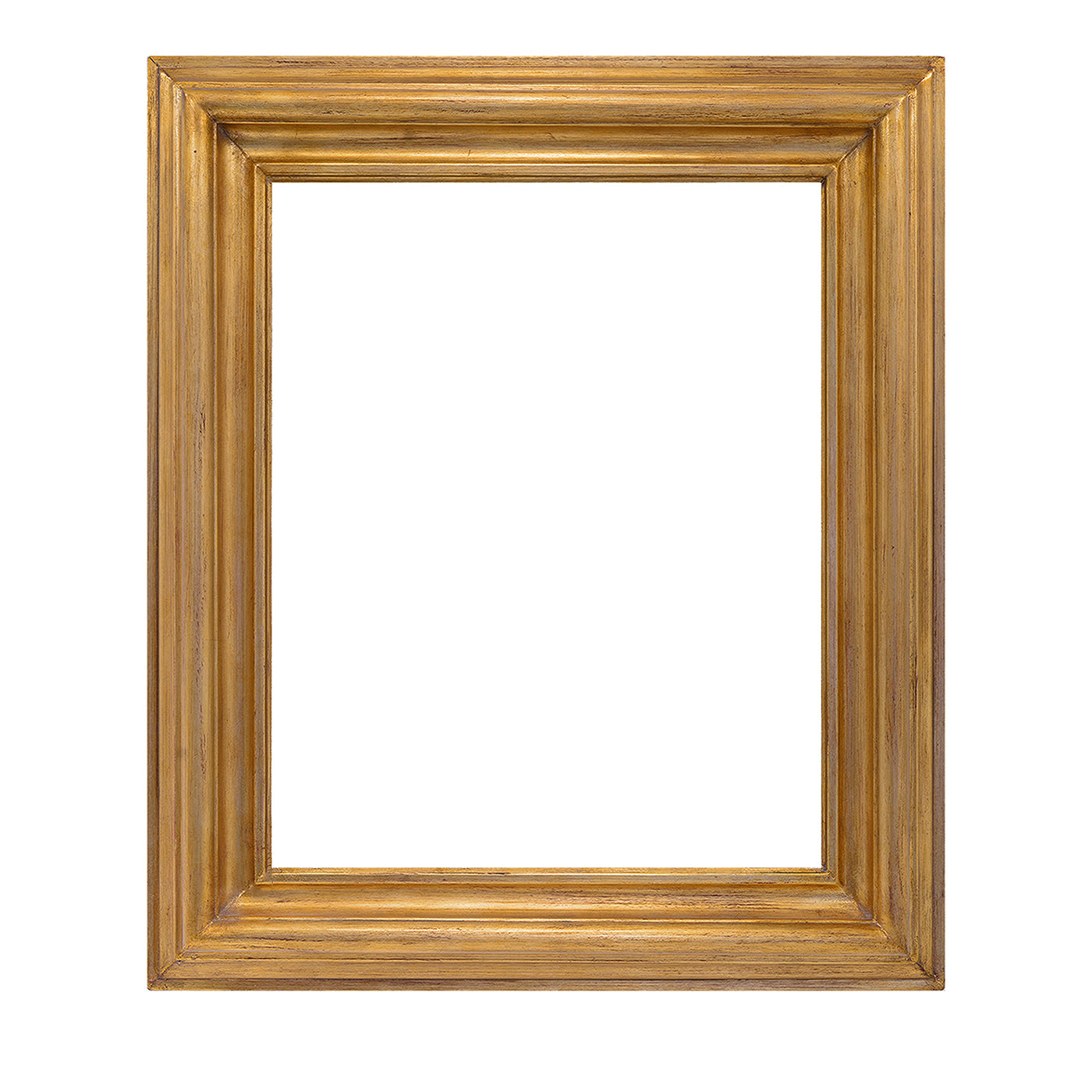 Salvator Rosa Gold Frame #2 - Vista principale