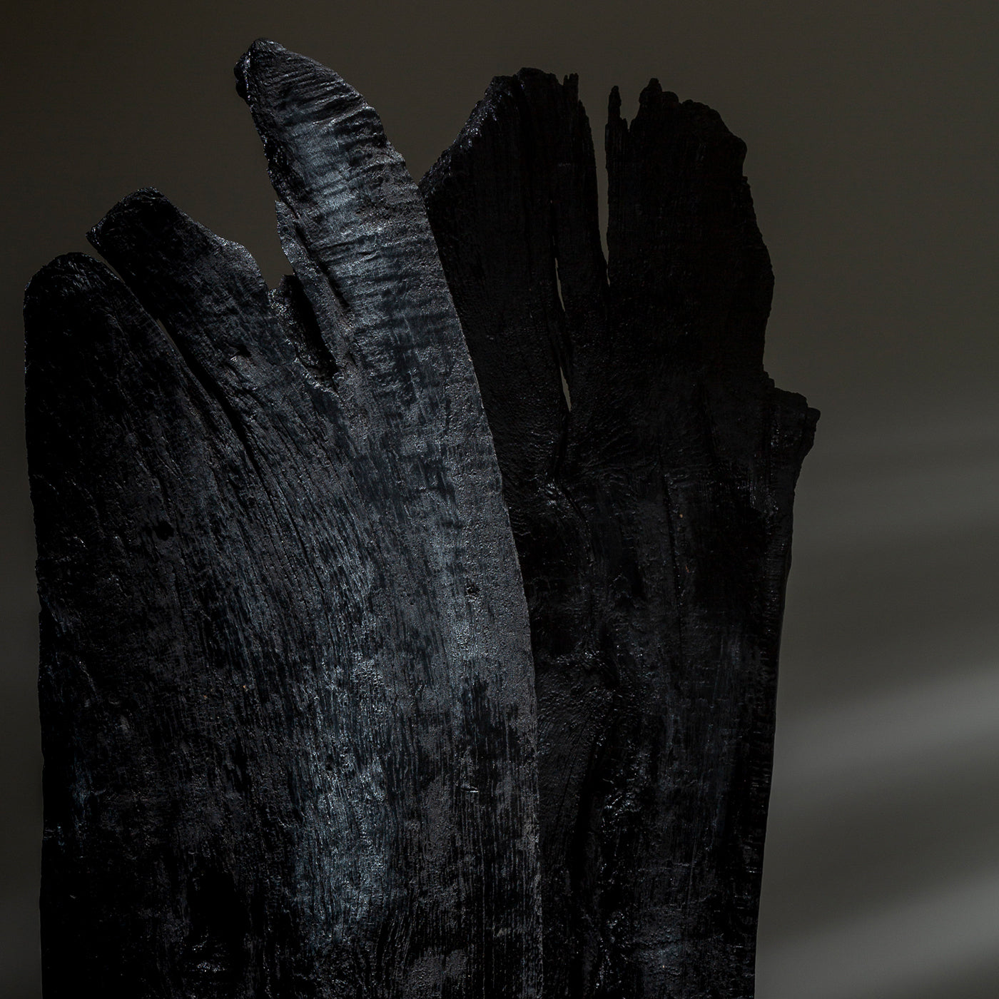 Linguat I Set of 2 Black Sculptures - Alternative view 3