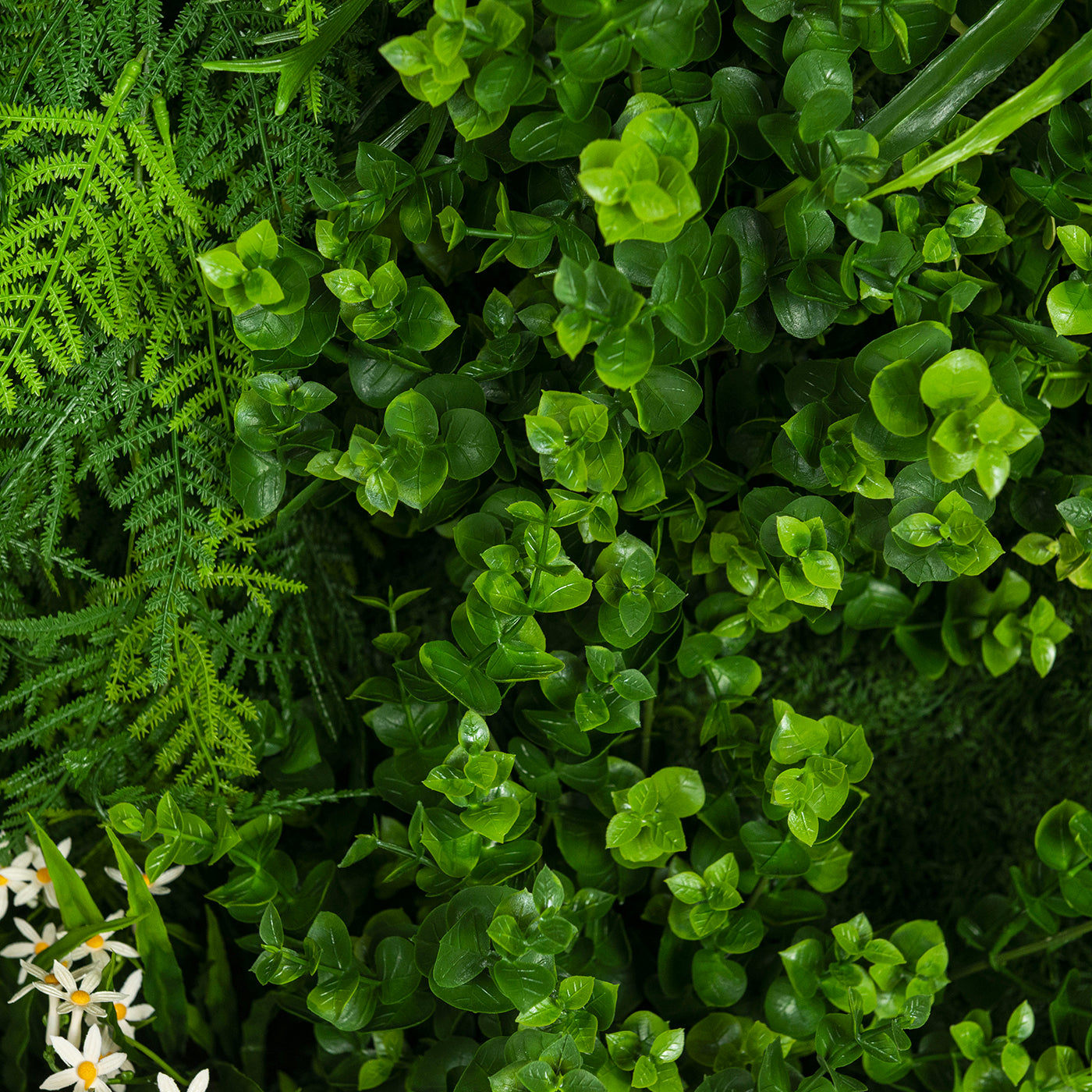 Meleda Outdoor Vertical Greenery Composition - Alternative view 4