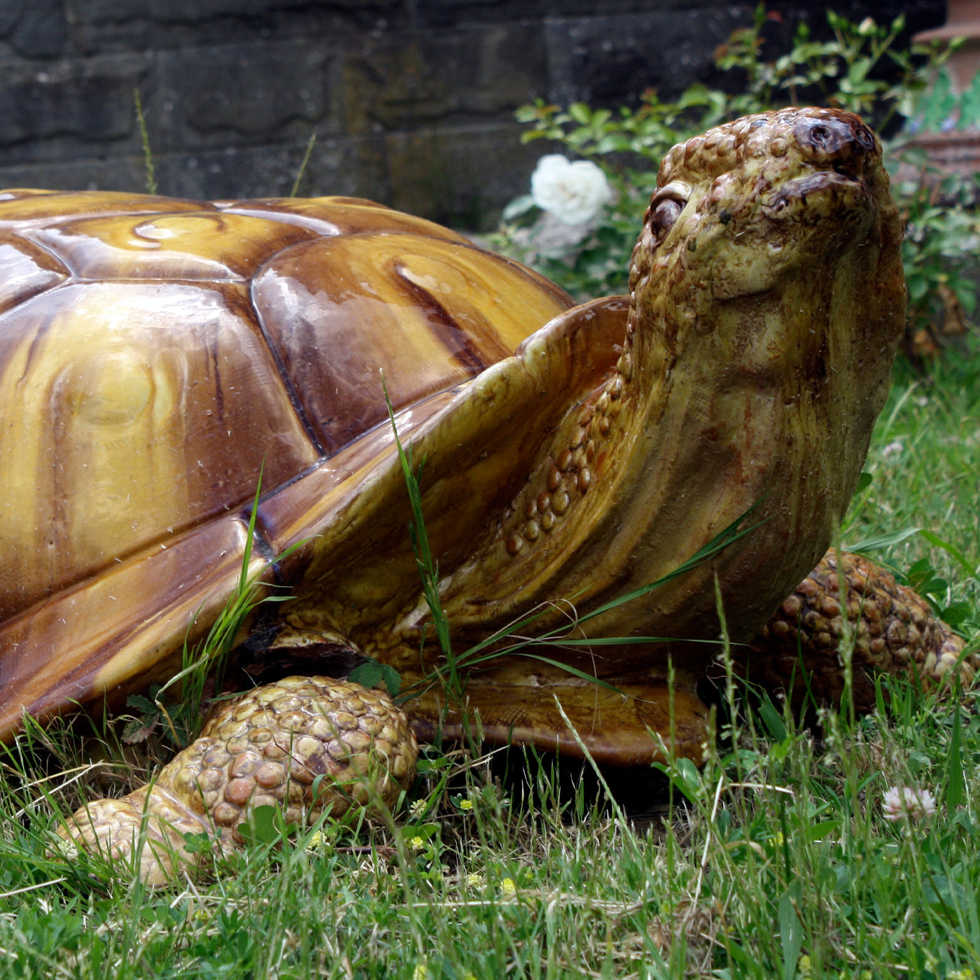 Giant Tortoise Sculpture - Alternative view 1