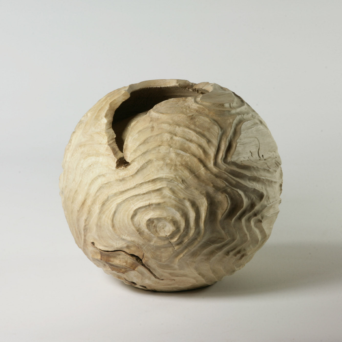 Double Edge Hollow Form Spherical Hornbeam Sculpture - Alternative view 4