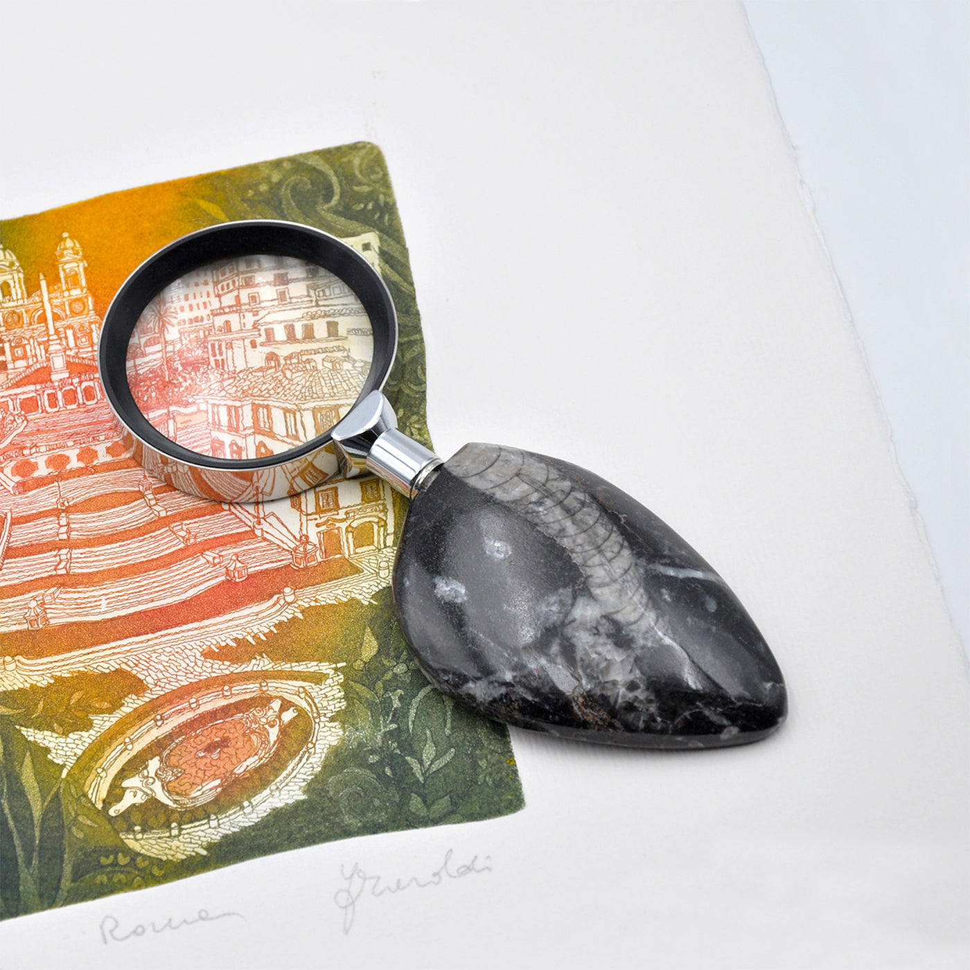 Ammonite Nautiloide Magnifying Glass by Nino Basso - Alternative view 1
