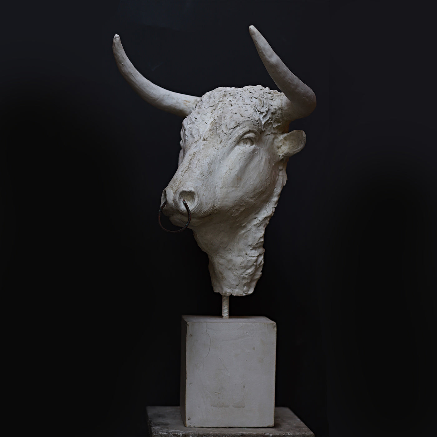 Toro Sculpture - Alternative view 1