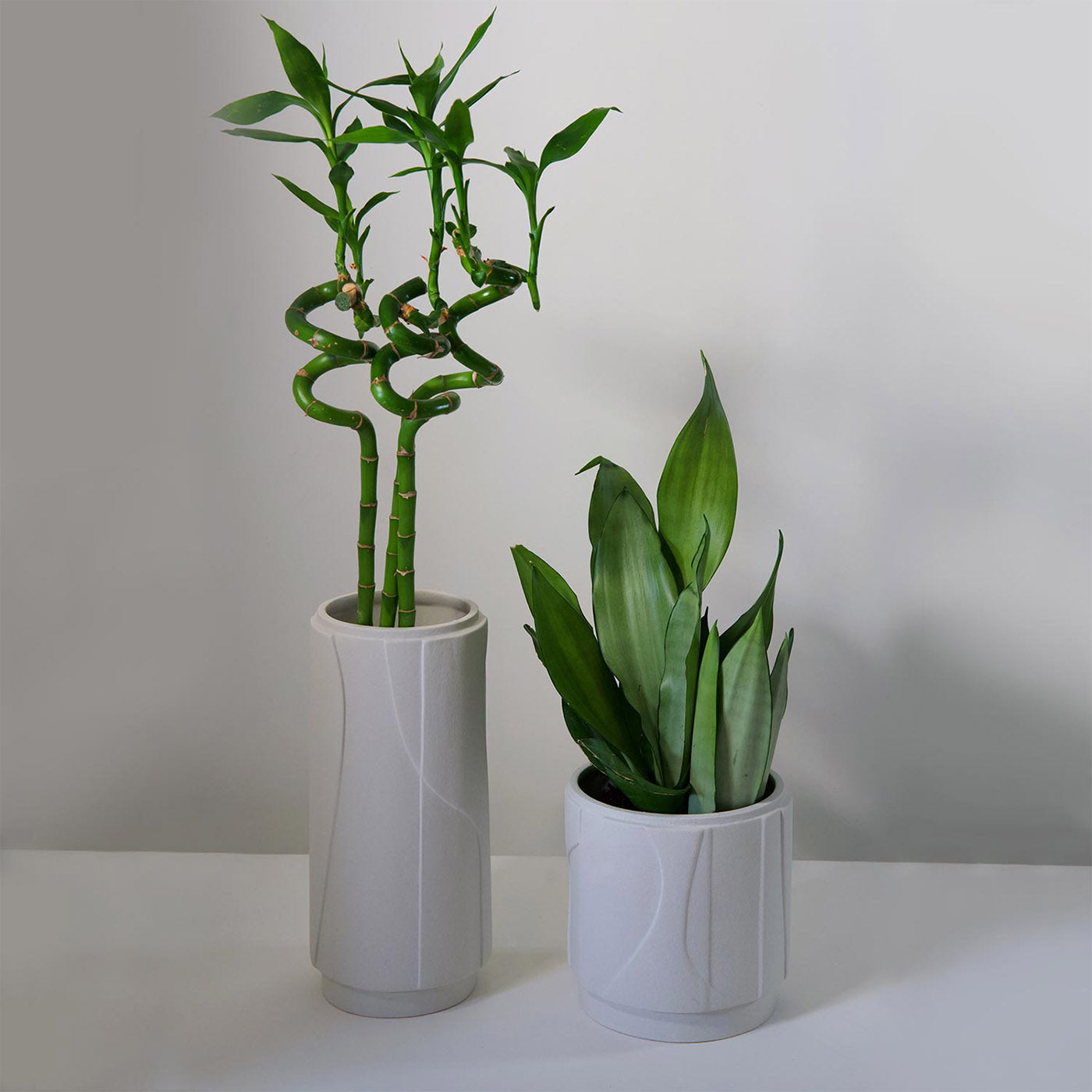 Aura Small Vase by Laura Pelosio - Alternative view 4