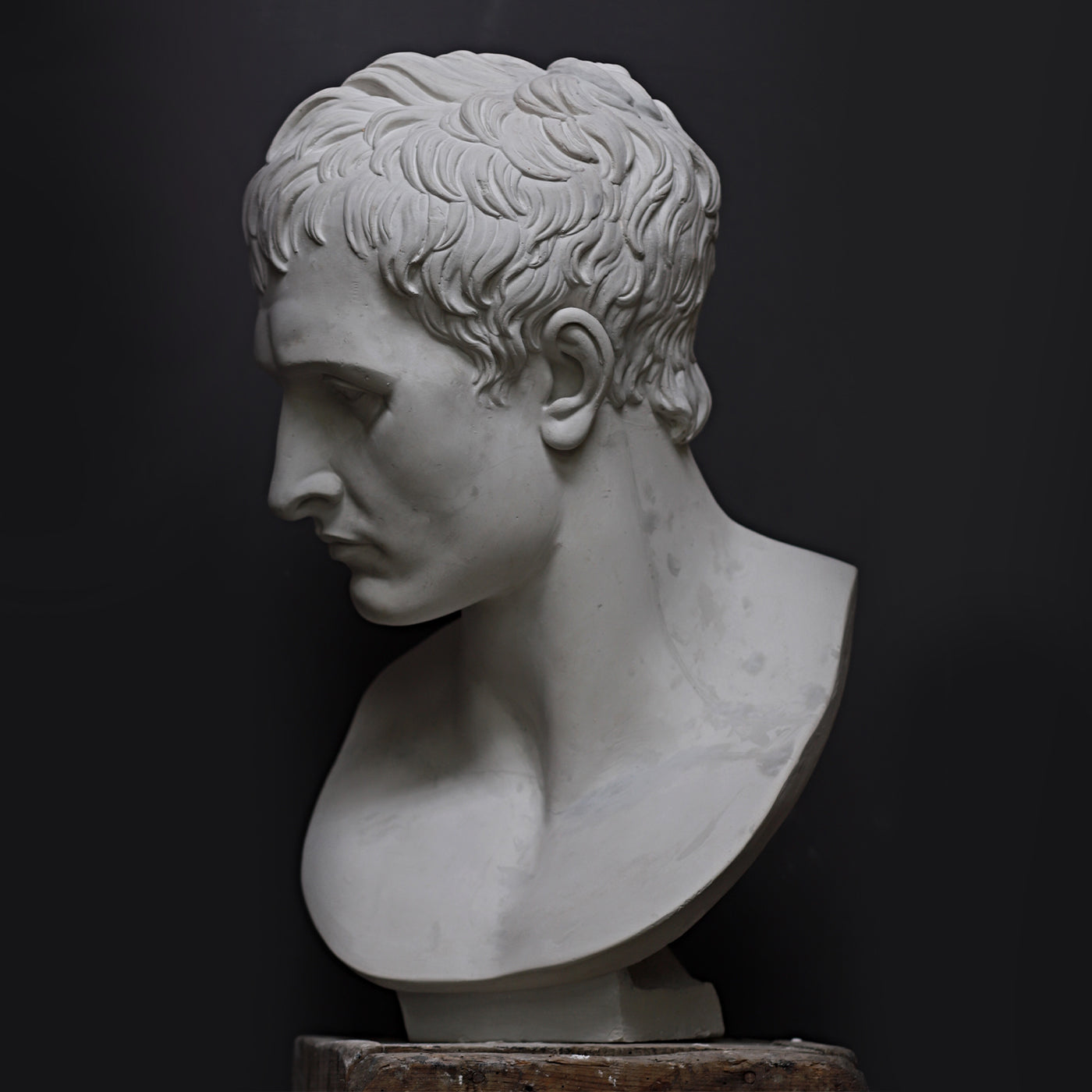 Napoleone Bust - Alternative view 3