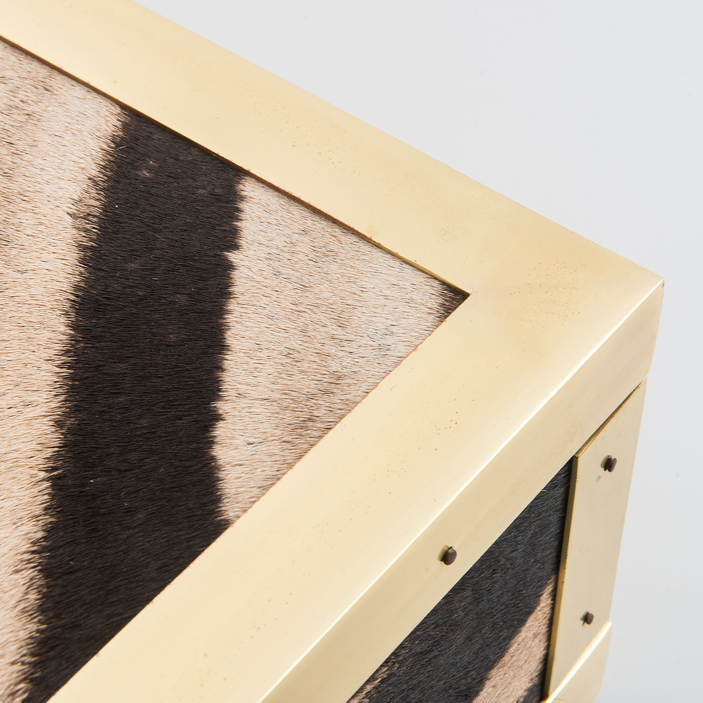 Memories Zebra Skin And Brass Box - Alternative view 4