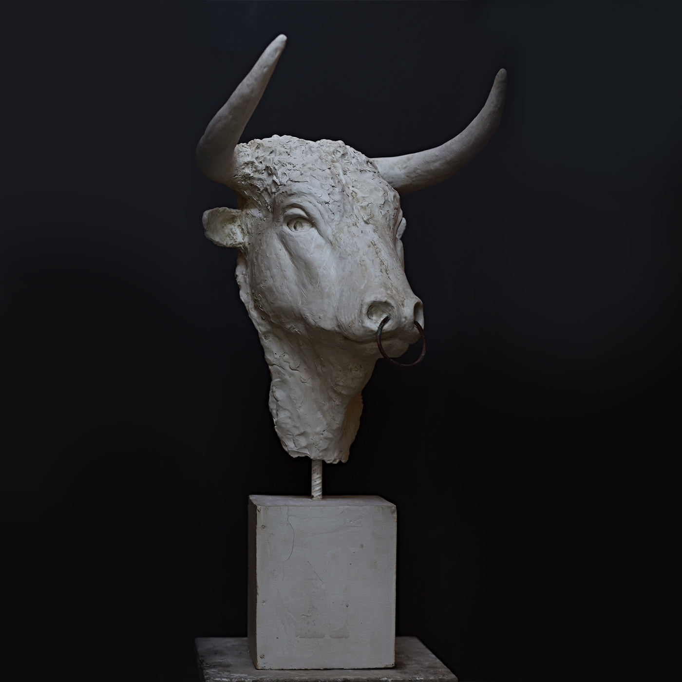 Toro Sculpture - Alternative view 2