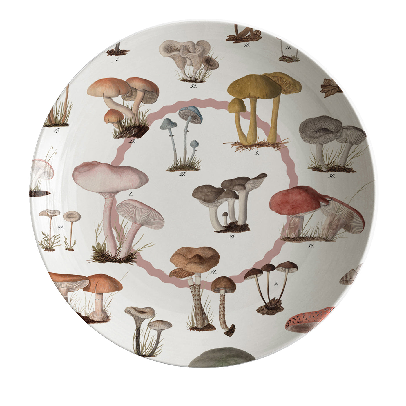 Cabinet De Curiosités Porcelain Soup Plate With Mushrooms - Main view