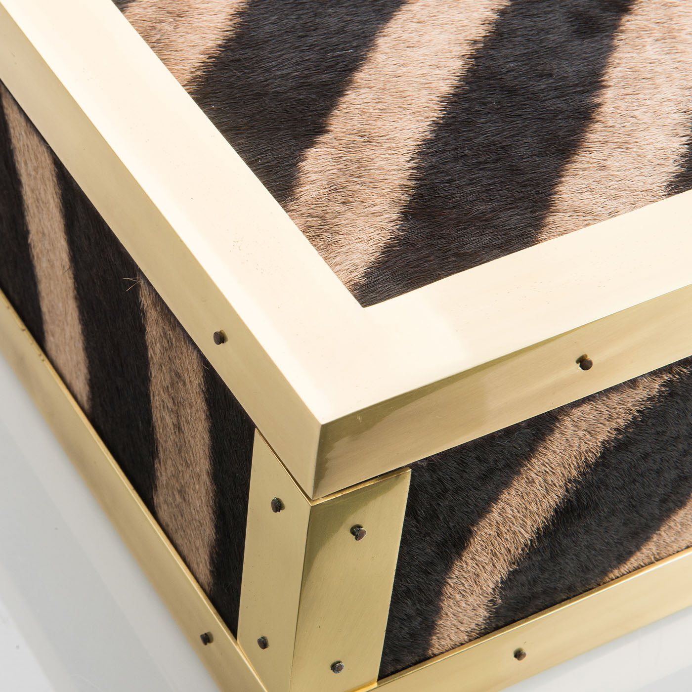 Memories Zebra Skin And Brass Box - Alternative view 1
