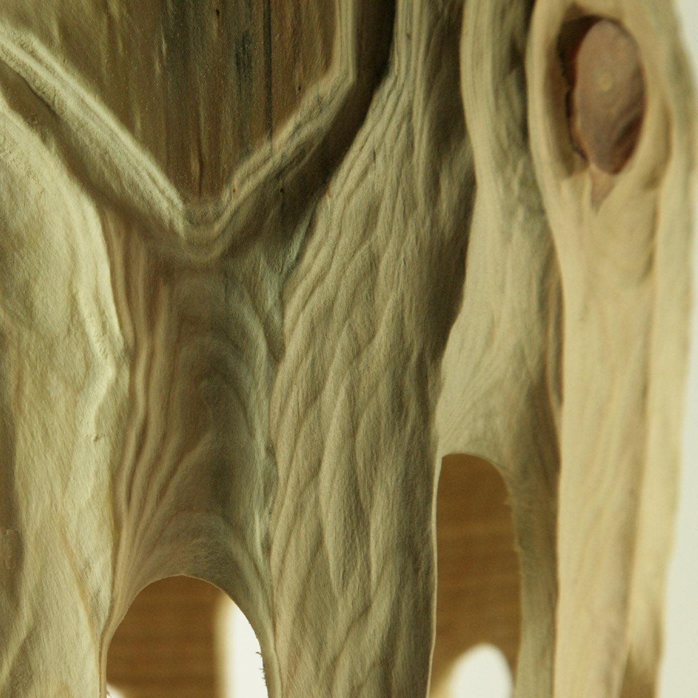 Les Montgolfières Hollow Form Araucaria Sculpture - Alternative view 2