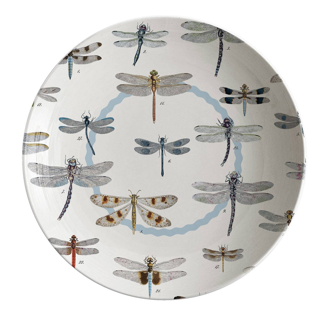 Plato hondo de porcelana con libélulas Cabinet De Curiosités - Vista principal