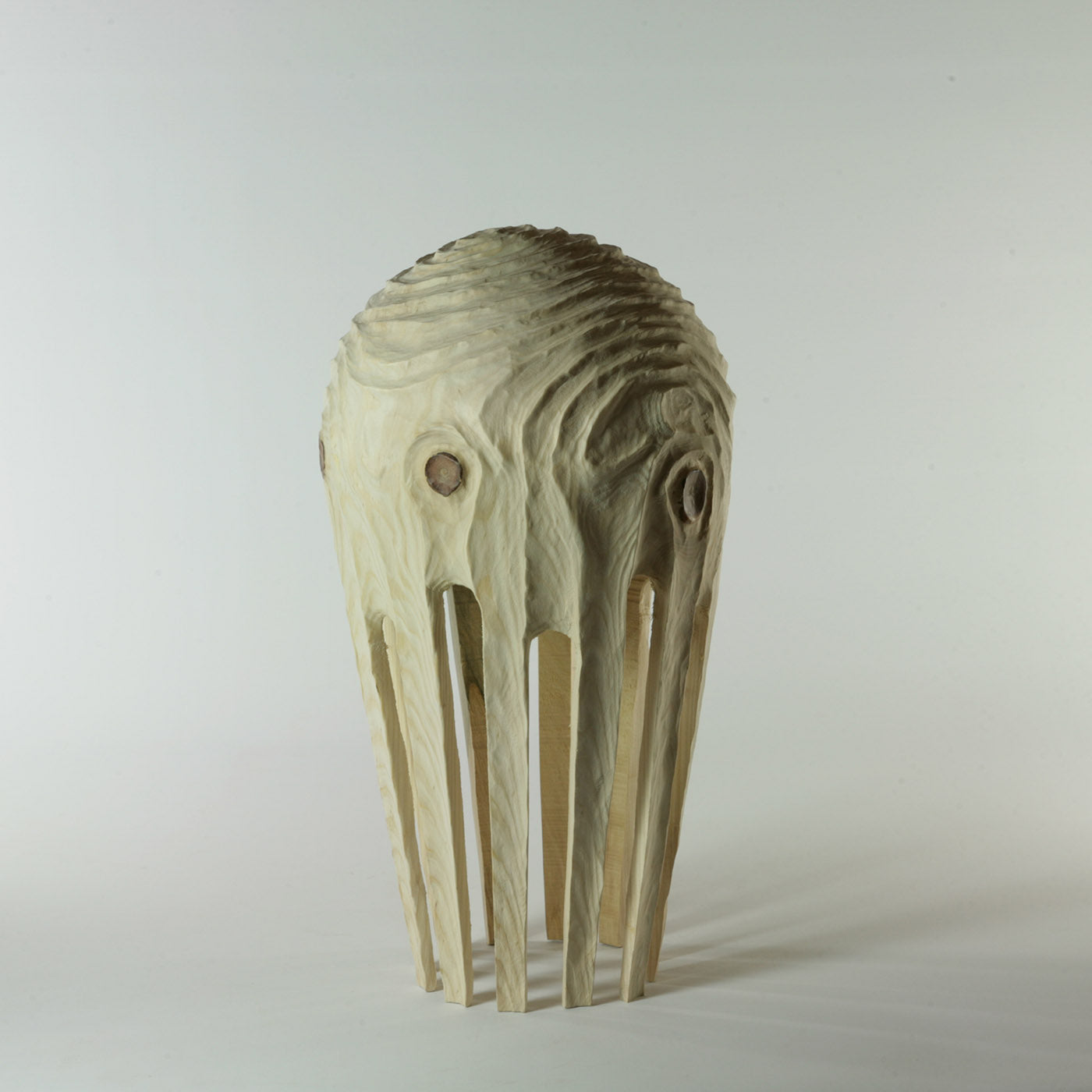 Les Montgolfières Hollow Form Araucaria Sculpture - Alternative view 4