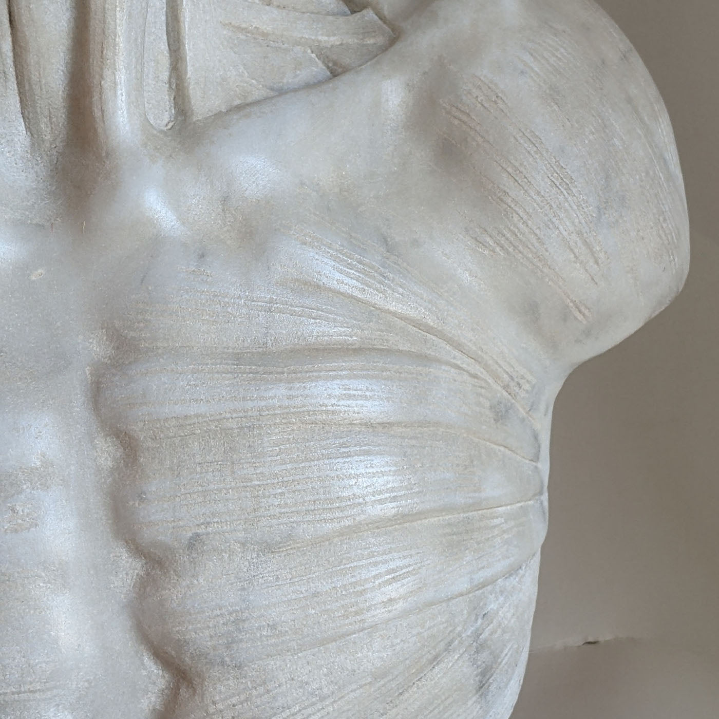 Scorticato Anatomical Marble Bust Sculpture - Alternative view 1