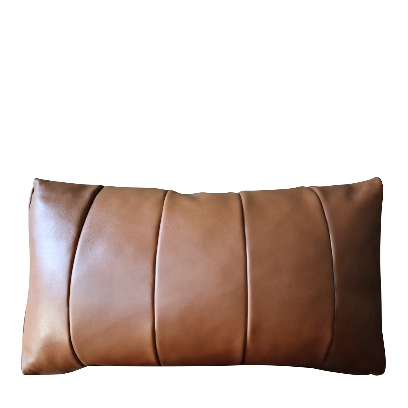 Riva leather cushion - Main view