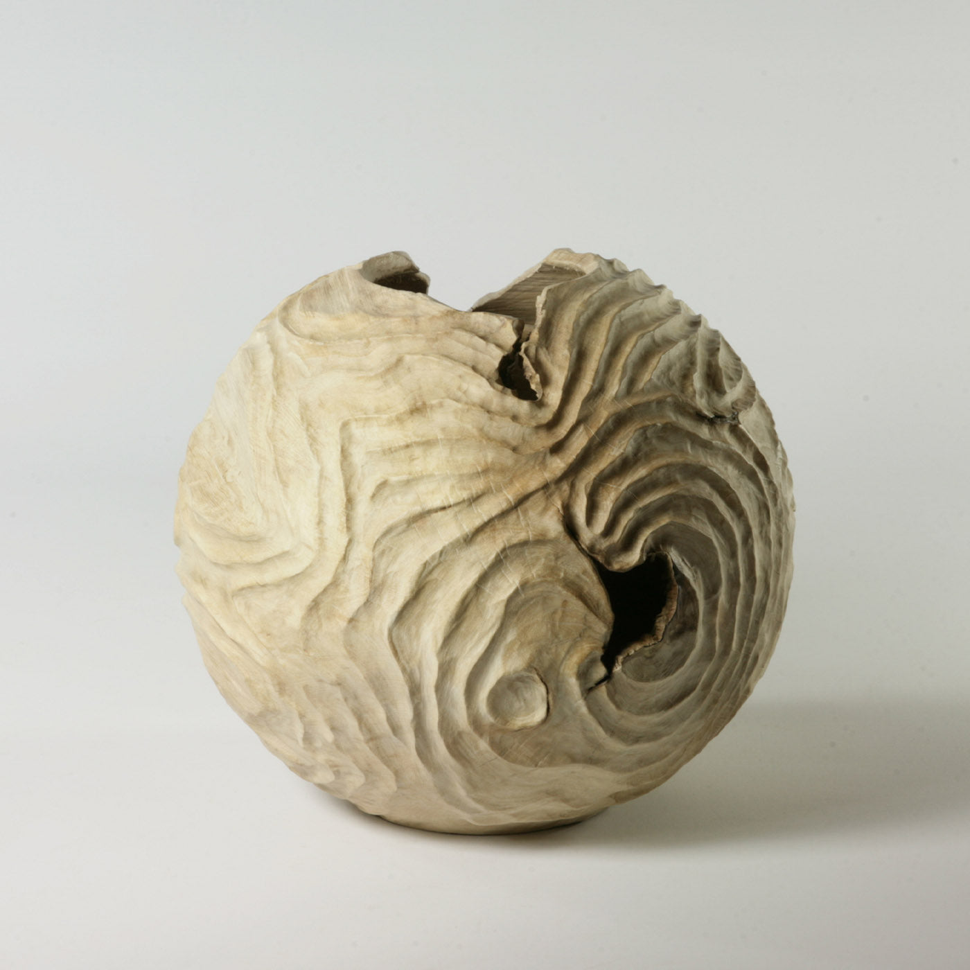 Double Edge Hollow Form Spherical Hornbeam Sculpture - Alternative view 3