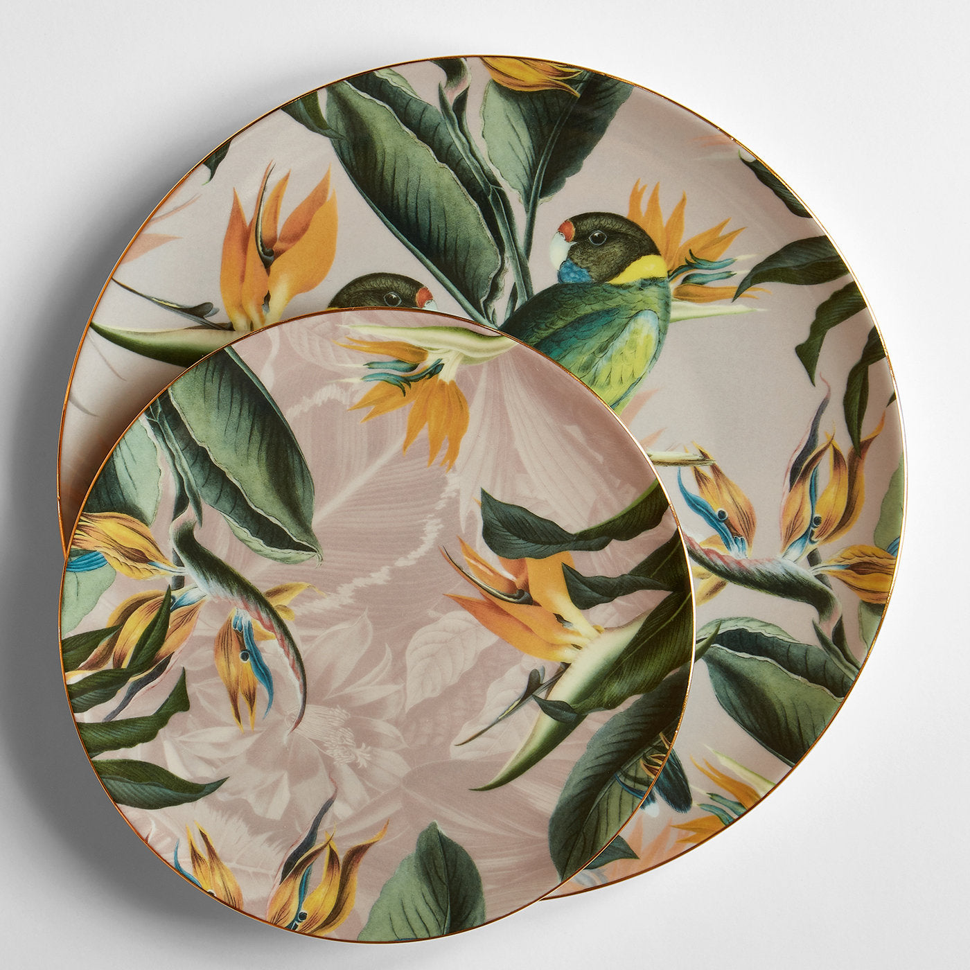 Animalia Porcelain Dinner Plate With Parrots And Strelitzias - Alternative view 1