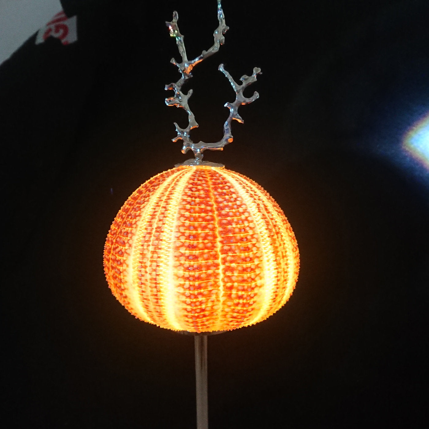 Lámpara Rich-O Coral - Vista alternativa 3