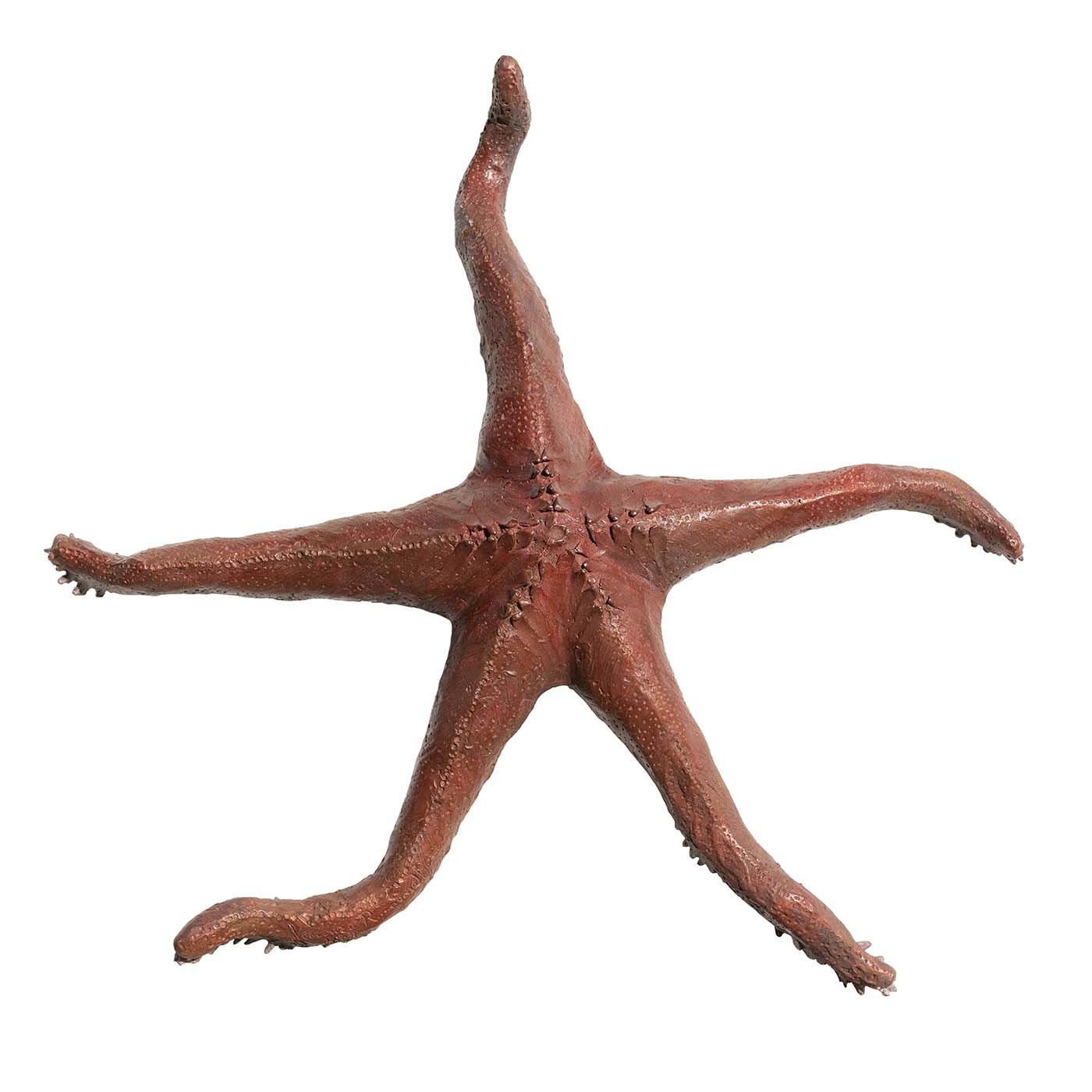 Escultura de estrella de mar - Vista principal