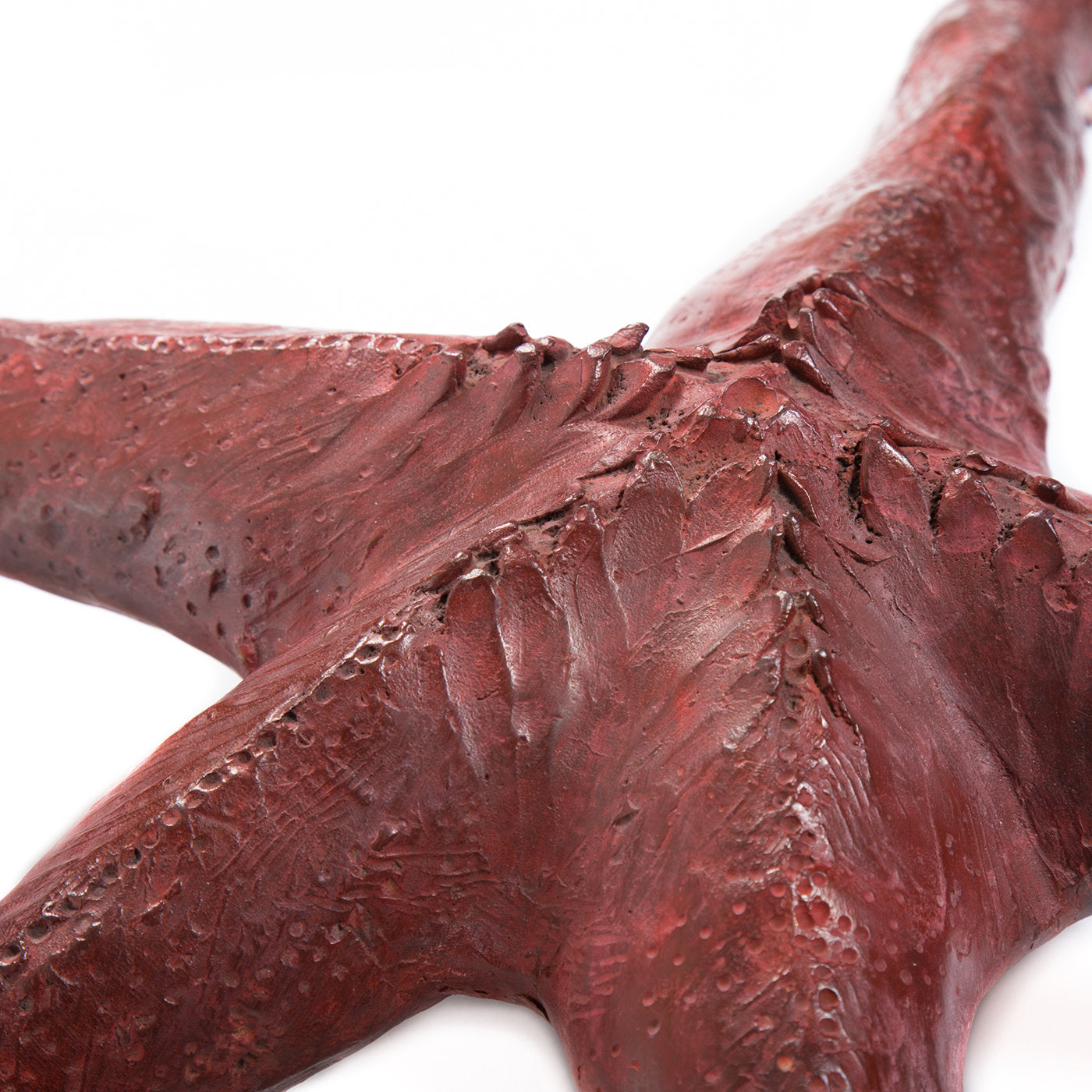 Starfish Sculpture - Alternative view 1